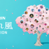 桜の保全活動｜晴れ風ACTION｜KIRIN